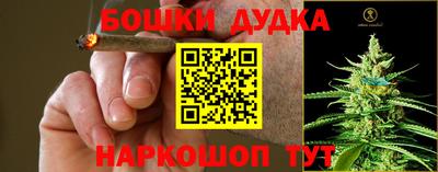 PSILOCYBIN Заводоуковск