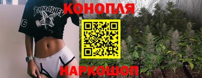 PSILOCYBIN Заводоуковск