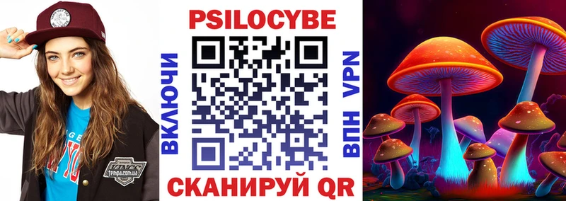Галлюциногенные грибы Psilocybe  Новоалександровск 