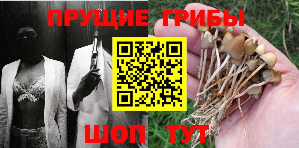 Псилоцибиновые грибы мицелий  Псилоцибиновые грибы Magic Shrooms  Вход с VPN  Новоалександровск 